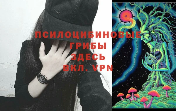 MDMA Коряжма